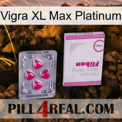 Vigra Xl Max Platinum 32